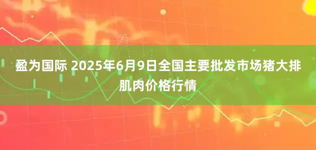 盈为国际 2025年6月9日全国主要批发市场猪大排肌肉价格行情